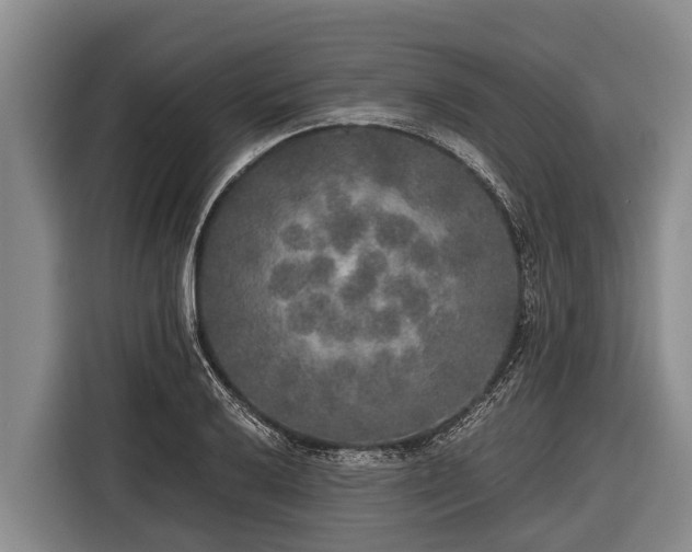 X0000116861032200912291256