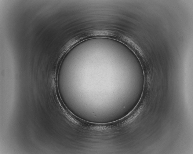 X0000116861033200912291256