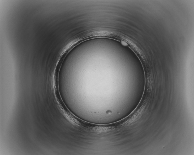 X0000116861034200912291256