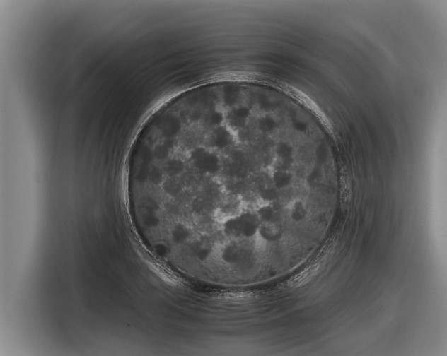 X0000116861035200912291256