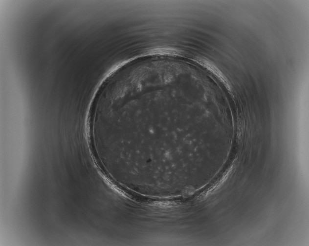 X0000116861037200912291256