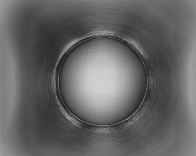 X0000116861038200912291256