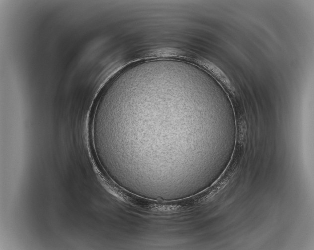 X0000116861039200912291256