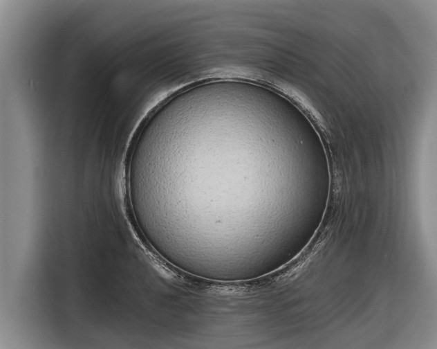 X0000116861040200912291256