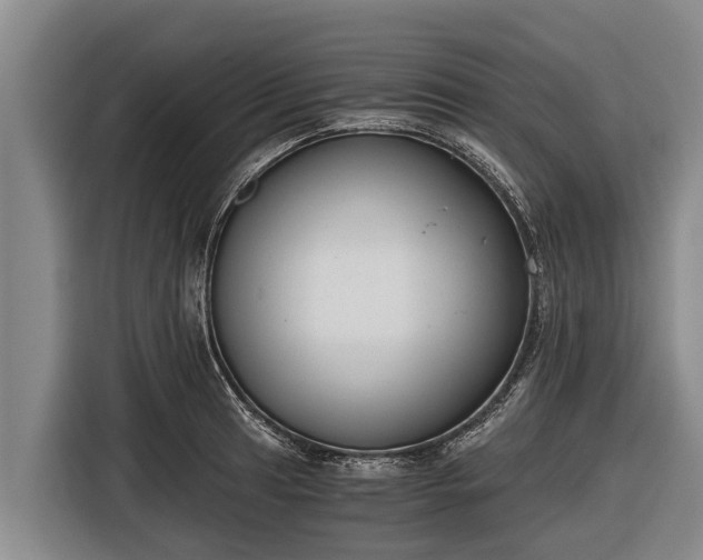 X0000116861041200912291256