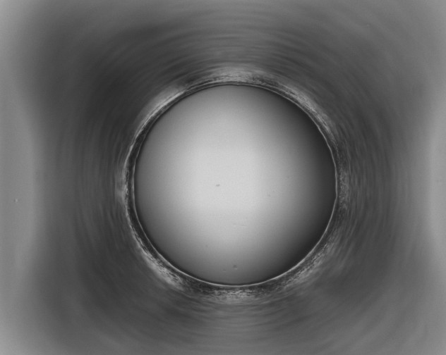 X0000116861042200912291256