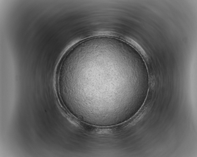 X0000116861043200912291256