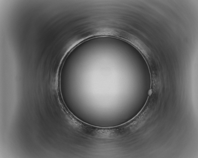 X0000116861044200912291256