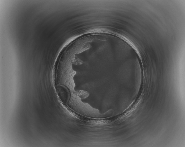 X0000116861045200912291256