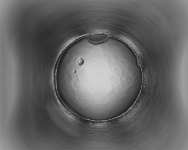 X0000116861047200912291256