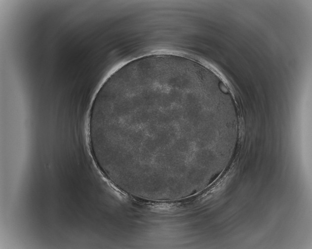 X0000116861048200912291256