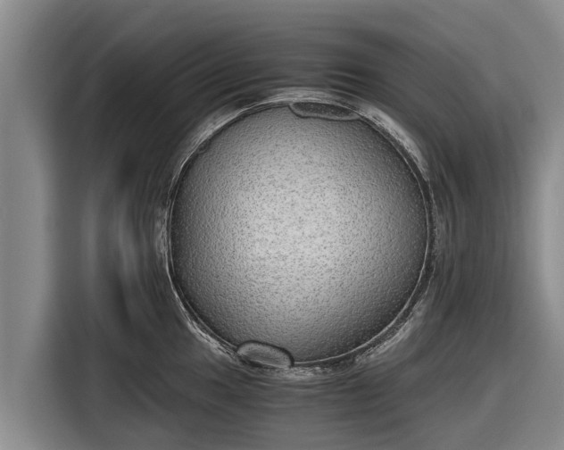 X0000116861049200912291256