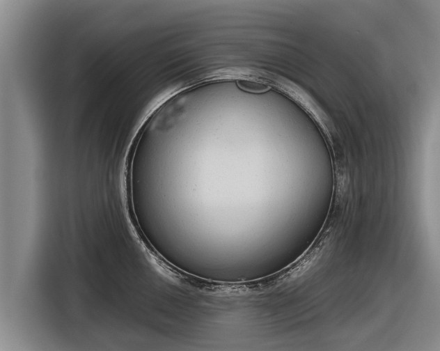 X0000116861050200912291256