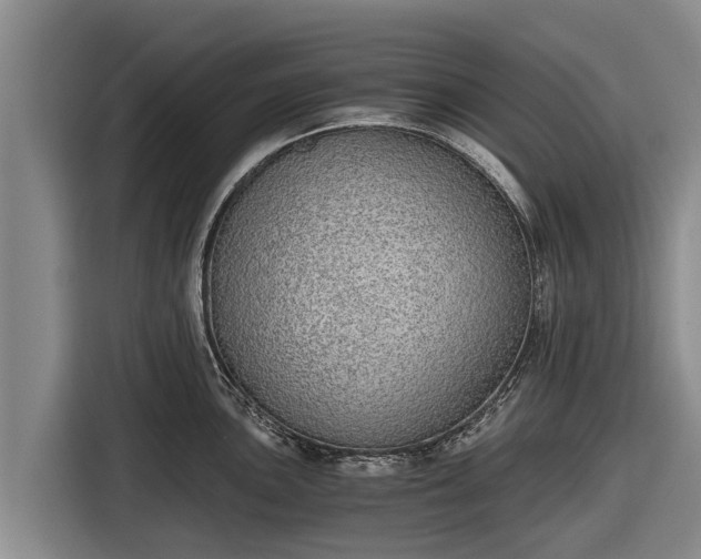 X0000116861051200912291256