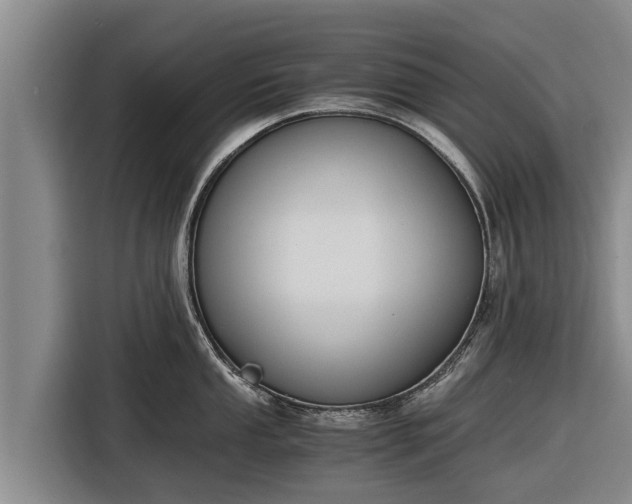 X0000116861053200912291256