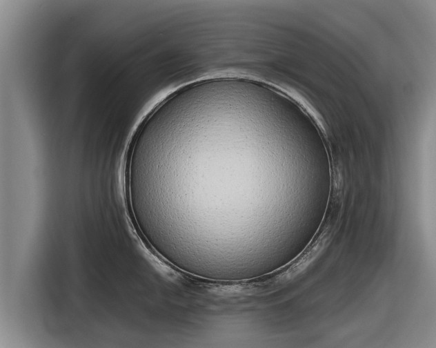 X0000116861054200912291256