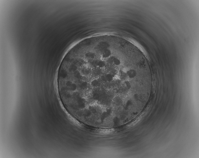 X0000116861055200912291256