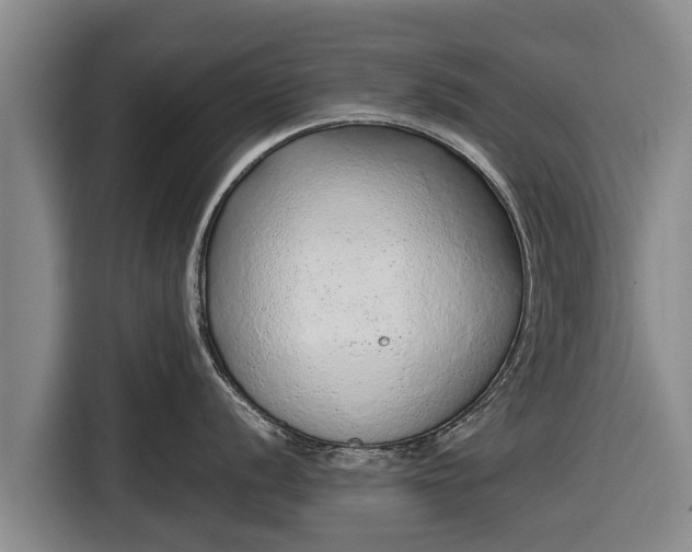 X0000116861056200912291256