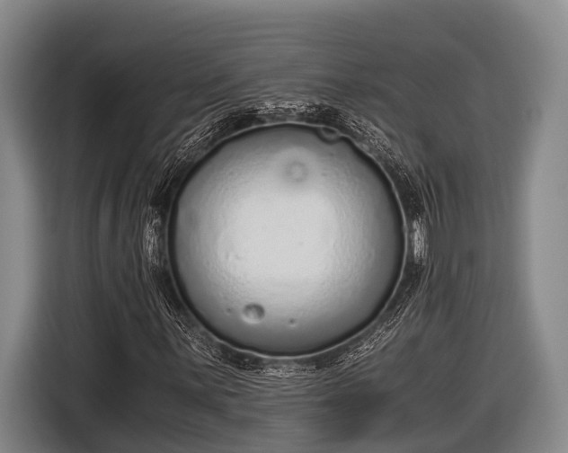 X0000116861059200912291255