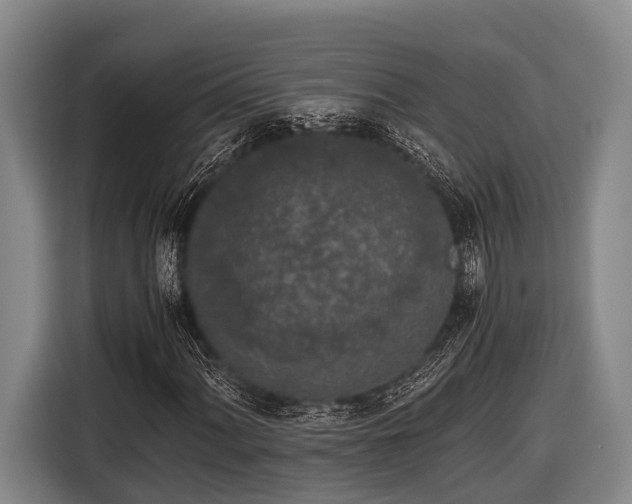 X0000116861060200912291255