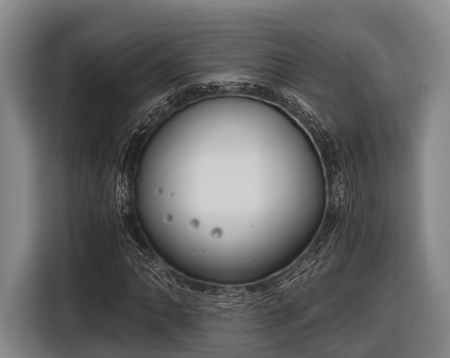 X0000116861062200912291255