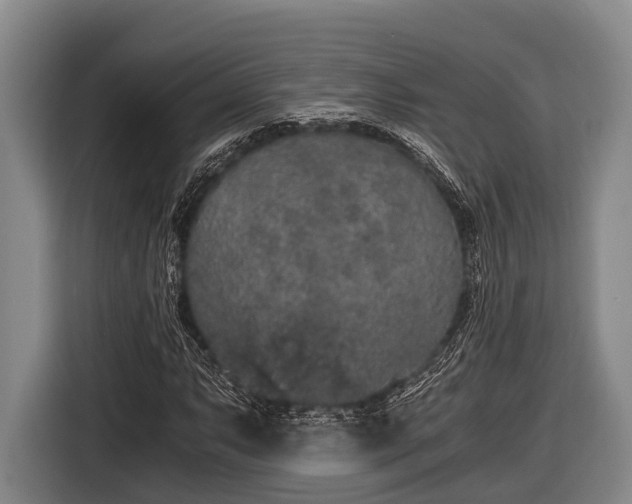 X0000116861063200912291255