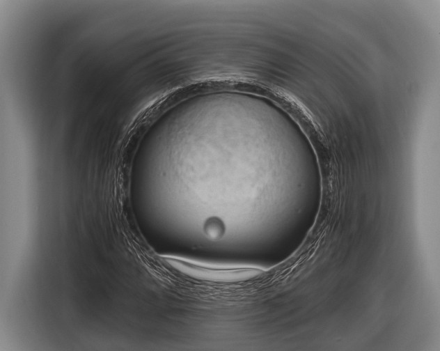 X0000116861064200912291255