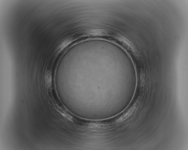 X0000116861065200912291255