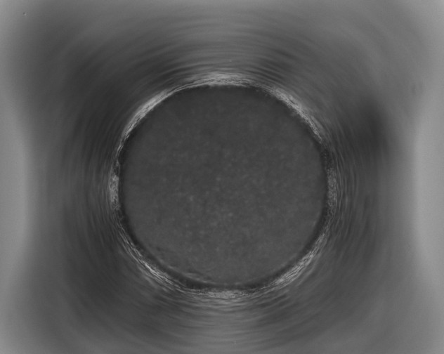 X0000116861066200912291255