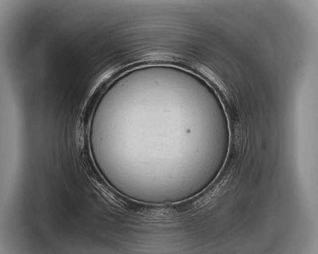 X0000116861067200912291255