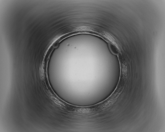 X0000116861068200912291255