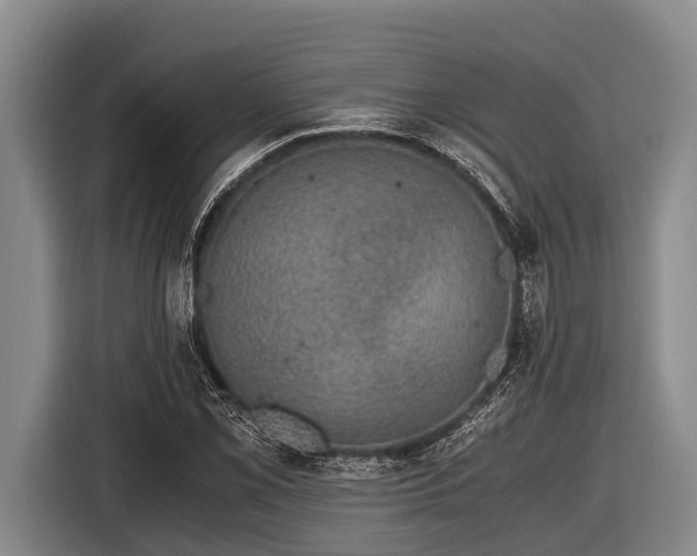 X0000116861069200912291255