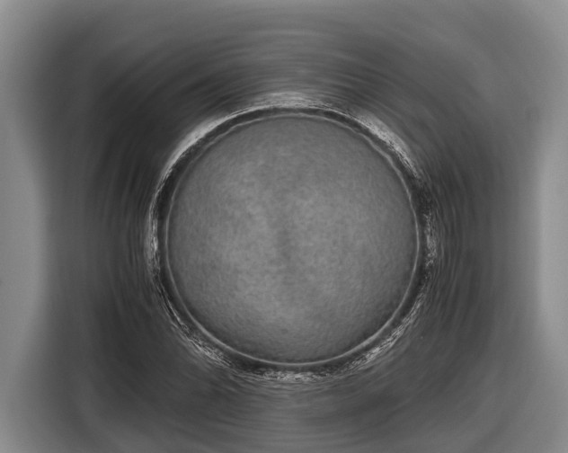 X0000116861070200912291255