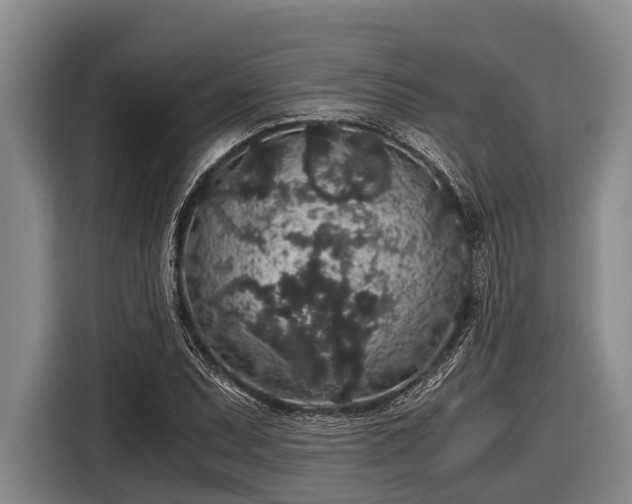 X0000116861071200912291255