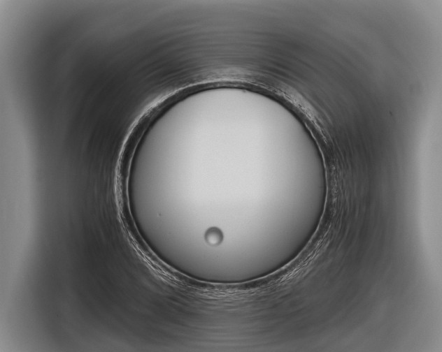 X0000116861072200912291255