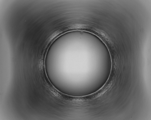 X0000116861073200912291255