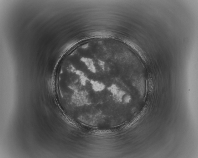 X0000116861074200912291255