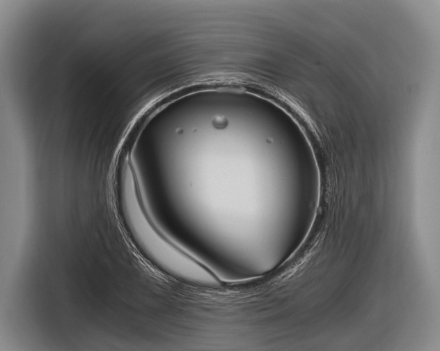 X0000116861075200912291255