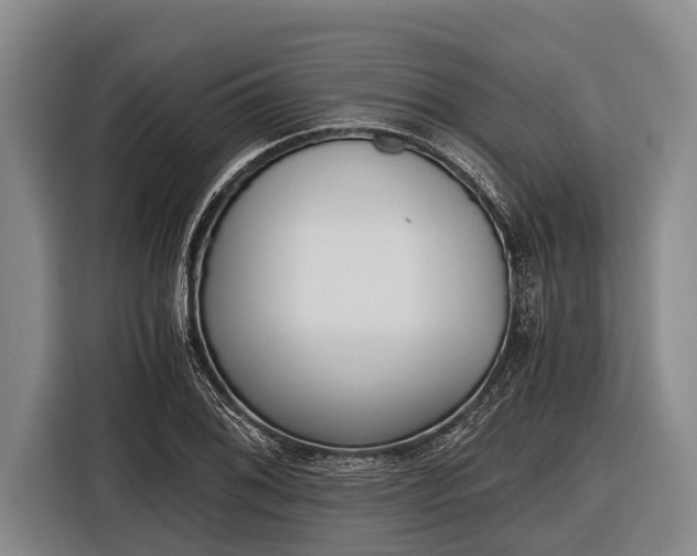 X0000116861076200912291255