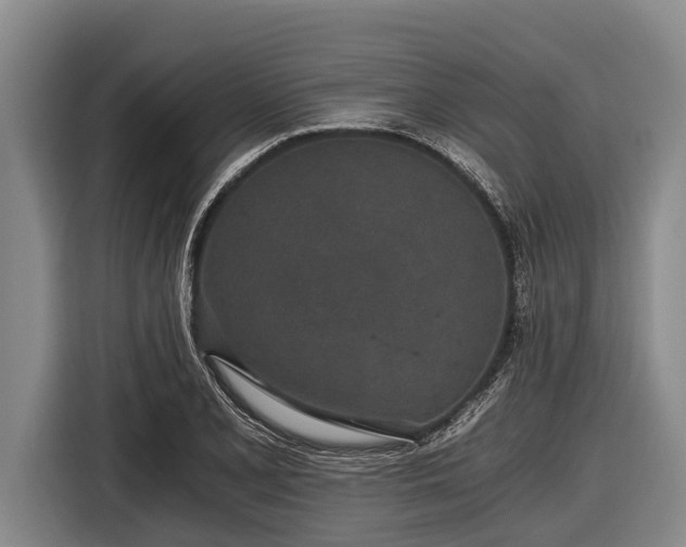 X0000116861077200912291255