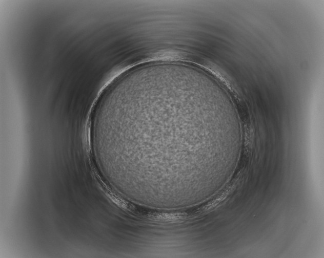 X0000116861078200912291255