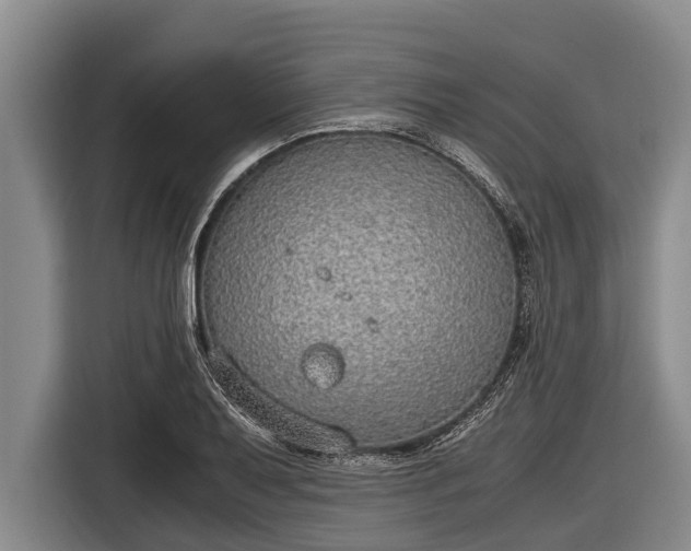 X0000116861079200912291255