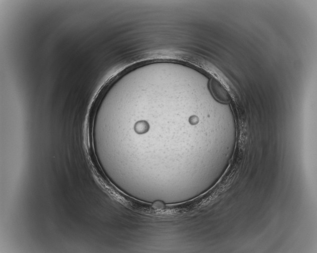 X0000116861080200912291255