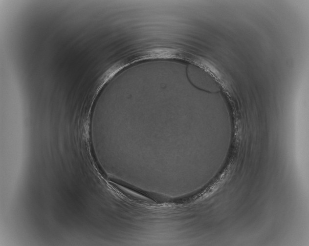 X0000116861081200912291255