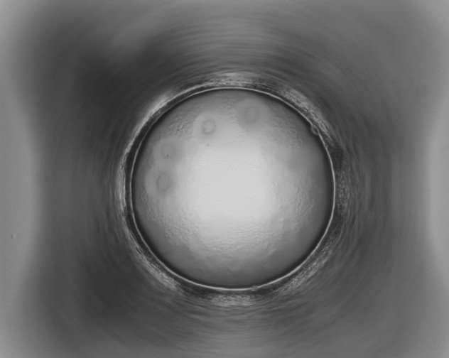 X0000116861083200912291255