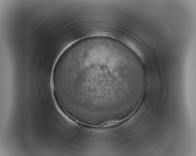 X0000116861084200912291255