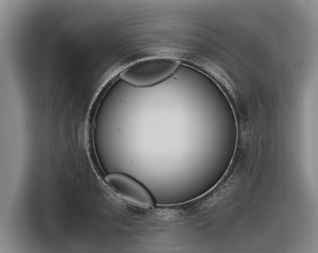 X0000116861085200912291255