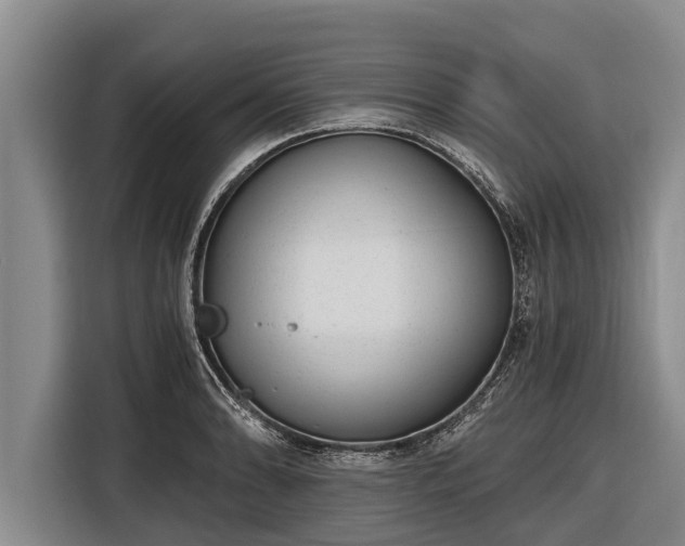 X0000116861086200912291255