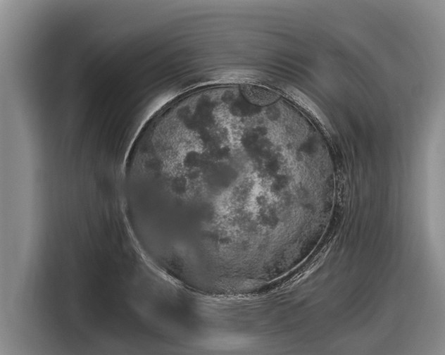 X0000116861087200912291255