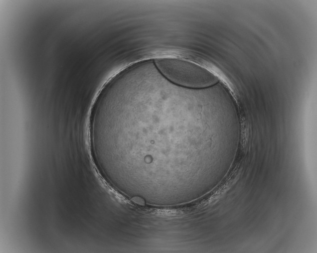 X0000116861088200912291255